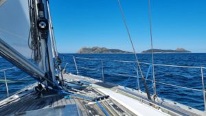 Latest sailing trends